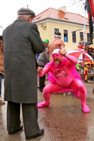 Faschingsumzug 2023 (Fotos Rochus Hetzendorfer)